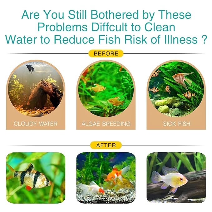 Petzlifeworld Pumix Stone Aquarium Filter Media | High-Porosity Bio Media for Hang On Back, Internal, Top & Canister Filters | Enhances Biological Filtration for Crystal Clear