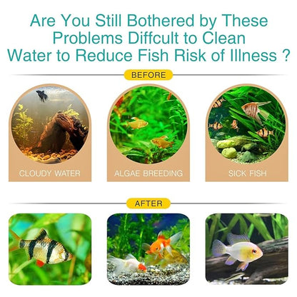 Petzlifeworld Pumix Stone Aquarium Filter Media | High-Porosity Bio Media for Hang On Back, Internal, Top & Canister Filters | Enhances Biological Filtration for Crystal Clear