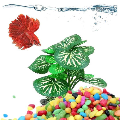 Petzlifeworld Decorative Mixed Peables Colour Stone for Aquarium Fish Tank and Indoor Home Decoration and Garden Decor