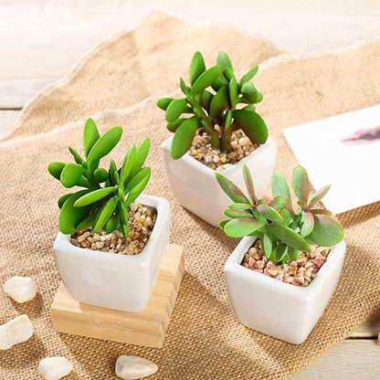 petzlifeworld Natural Decorative Mini River Rock Stones Small Chips Aquarium Gravel Top Dressing Terrarium Sand for Potted Plants, Aquariums, Lanscaping (Gold Sand )