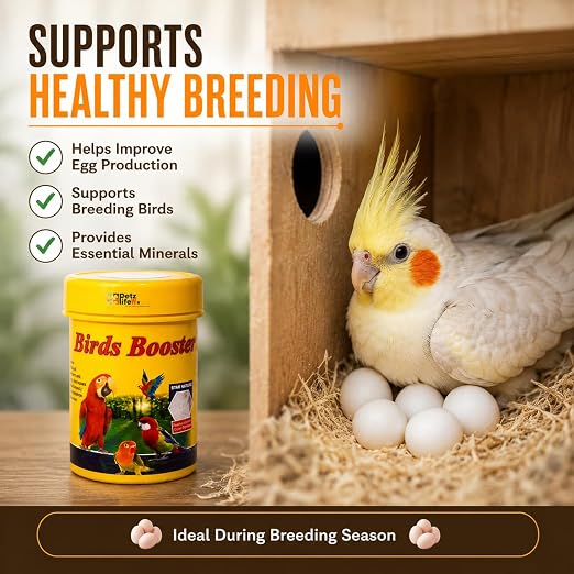 Petzlifeworld 50g Bird Booster Feather Growth & Color Formula Bird Health Supplement | Supports Feather Development, Natural Color Enhancement, Breeding Support & Daily Vitality for Pet Birds
