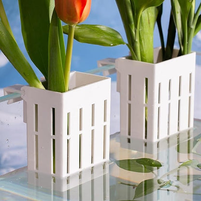 Petzlifeworld 2 Pcs White Hanging Water Plant Holder (Box Type) Pot for Aquarium Fish Tank, Aquaponics and Hydroponics with Hooks and Suction Cups for Easy Installation
