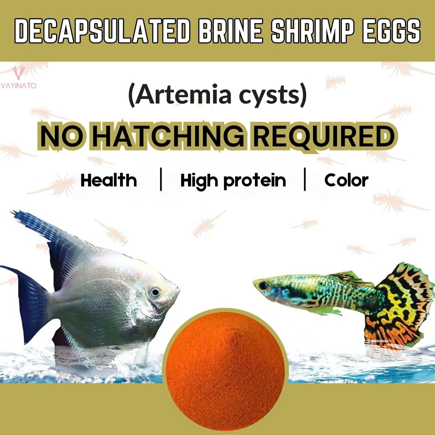 Eagle Decap Artemia Cyst - Direct Feeding (25g) No Hatching Required - Shell-Free, High-Protein Nutritional Feed