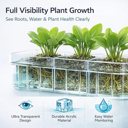 petzlifeworld 1Pcs Clear Acrylic Three-Compartment Hanging Hydroponic Planter | Hanging Plant Holder with Visible Root Growth | Decorative Aquatic Planter for Fish Tanks (18 × 6.5 × 8 cm)