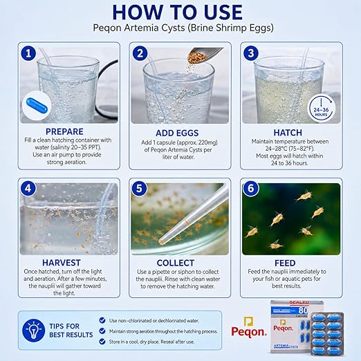 Peqon Artemia Cysts Brine Shrimp Eggs With 90% Hatching Rate For Baby Fish (1 Strip (10 Capsules)) By Petzlifeworld