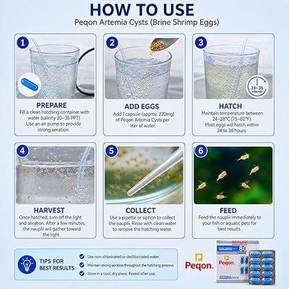Peqon Artemia Cysts Brine Shrimp Eggs With 90% Hatching Rate For Baby Fish (1 Strip (10 Capsules)) By Petzlifeworld
