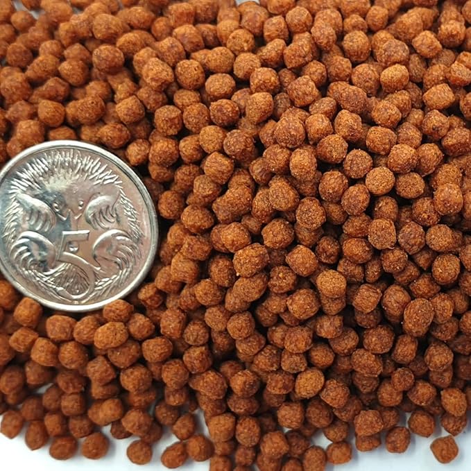 Ocean Free XO Green (Original) Fish Food, 280ML/100G | Increase Head Growth and Shape for Flowerhorn Fish by Petzlifeworld