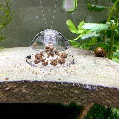 Petzlifeworld Transparent Clear Planted Aquarium Fish Tank Snail Trapper Snail Catching Trap Box | Safe and Doesnt Harm Other Aquatic Species | Easy to Use