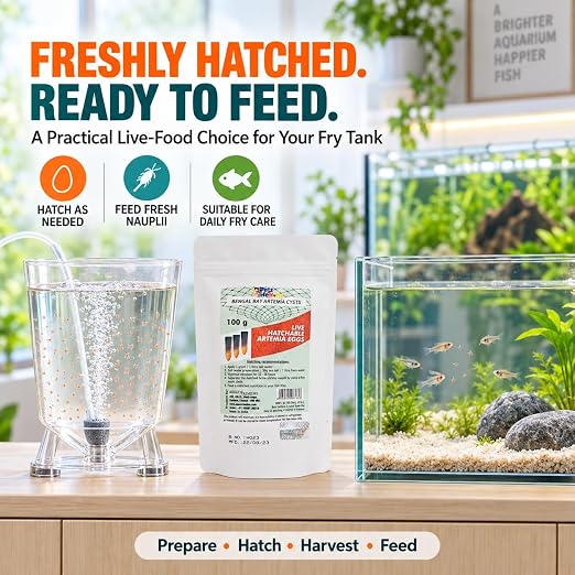 PetzLifeworld Bengal Bay 100g (0.22 Oz) Artemia Cysts - 90% Hatch Rate for Baby & Fry Fish