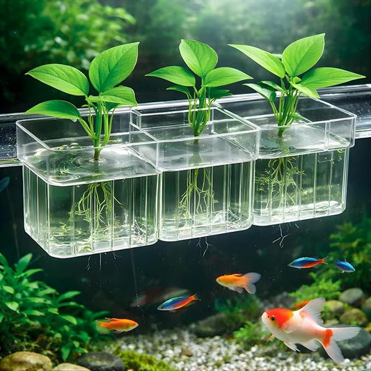 petzlifeworld 1Pcs Clear Acrylic Three-Compartment Hanging Hydroponic Planter | Hanging Plant Holder with Visible Root Growth | Decorative Aquatic Planter for Fish Tanks (18 × 6.5 × 8 cm)