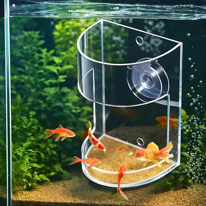 petzlifeworld  M65 Transparent Fish Feeding Chamber Aquarium Feeding Ring with Suction Cup | Prevents Food Waste & Keeps Tank Clean | Ideal for Betta, Guppy & Community Fish Tanks