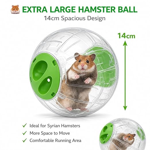 Petzlifeworld Large Hamster Exercise Ball 14CM Transparent Running Ball | Safe Lock Design | Small Animal Exercise Toy for Syrian Hamsters, Mice & Rodents | Cage Accessories & Play Toy