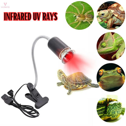 Petzlifeworld 50W Infrared UV Rays (Red) Reptile Turtle Heat Lamp Lights, Night Use UVA UVB Aquarium Bulbs