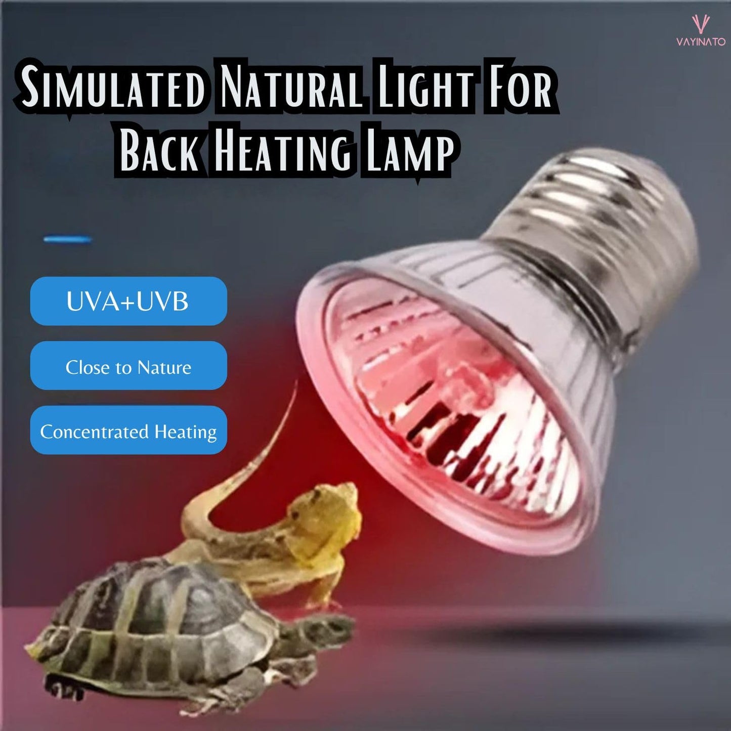 Petzlifeworld 50W Infrared UV Rays (Red) Reptile Turtle Heat Lamp Lights, Night Use UVA UVB Aquarium Bulbs