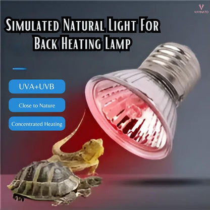 Petzlifeworld 50W Infrared UV Rays (Red) Reptile Turtle Heat Lamp Lights, Night Use UVA UVB Aquarium Bulbs