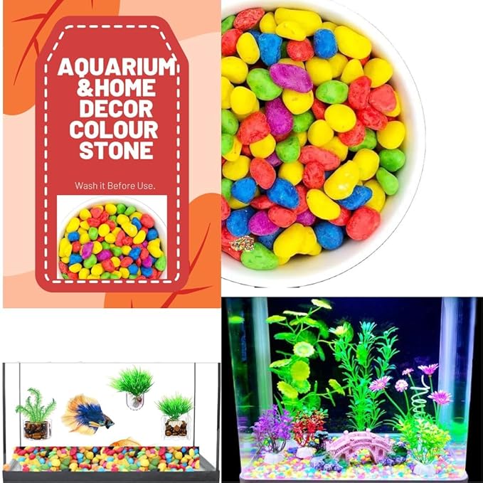 Petzlifeworld Decorative Mixed Peables Colour Stone for Aquarium Fish Tank and Indoor Home Decoration and Garden Decor