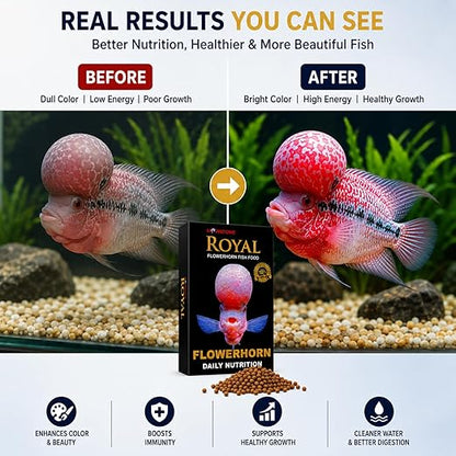 Horizone Royal Flowerhorn Daily Nutrition Fish Food, 100G