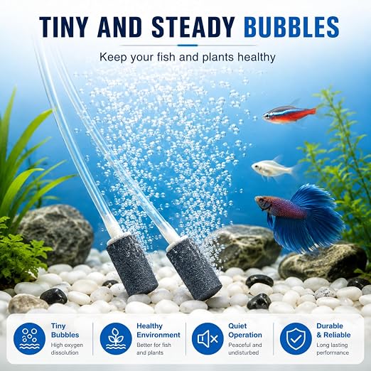 petzlifeworld 1.5 Inch Aquarium Air Stone Diffuser, Pack of 6 | Fine Bubble Oxygen Aerator Stone with Air Tube Connector | Bubble Stone for Fish Tank, Aquarium & Hydroponics