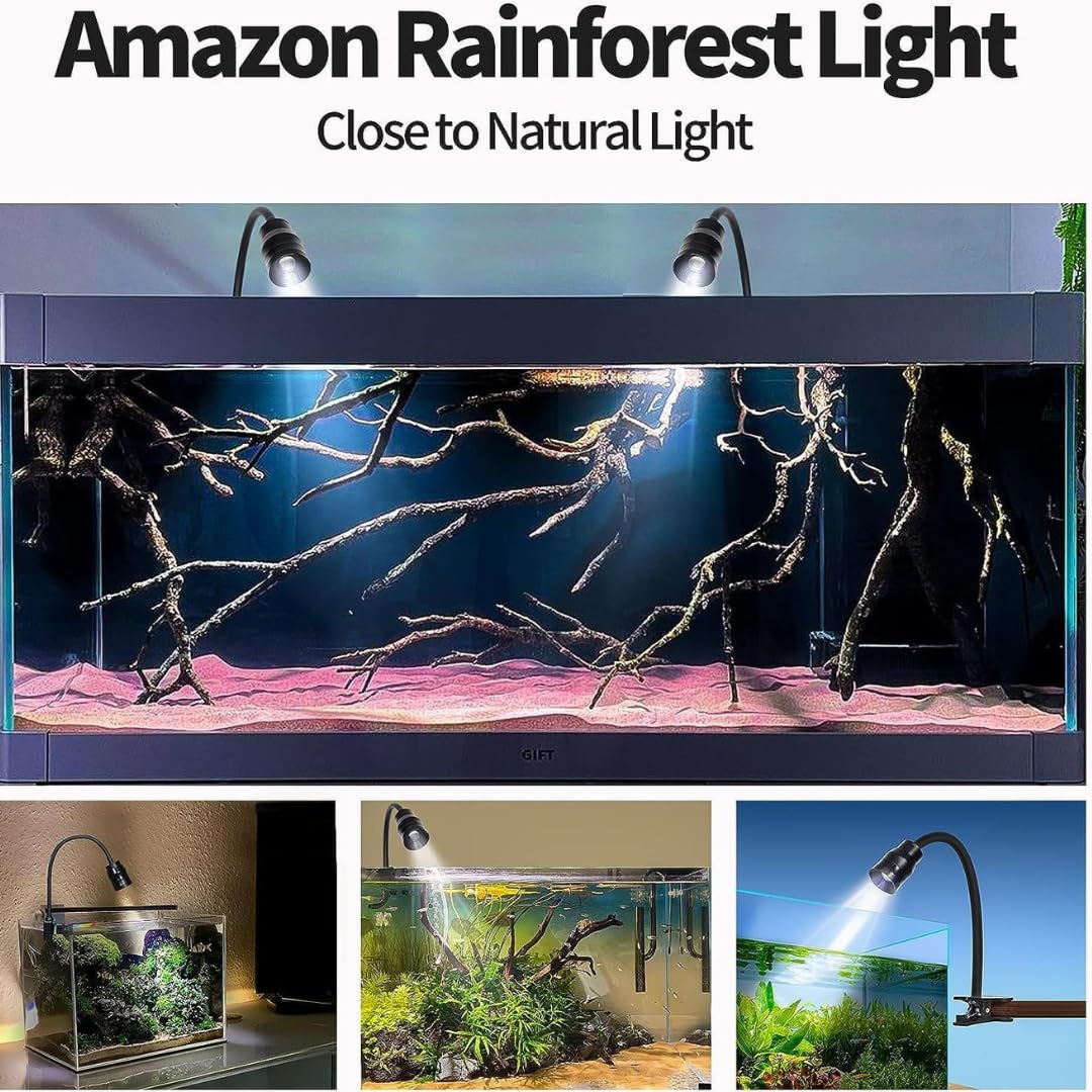 Petzlifeworld Full Spectrum 10W LED Aquarium Spotlight – Focus & Zoom, 3 Color Modes, Adjustable Beam for Fish Tanks & Planted Tanks