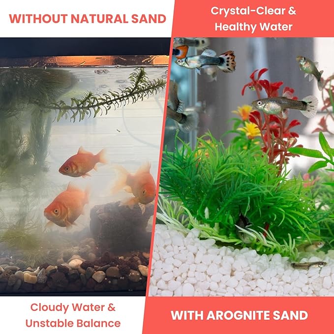 PetzLifeworld Aquarium Aragonite White Sand | Natural pH-Buffering Substrate for Marine, Cichlid, Freshwater & Saltwater Aquariums