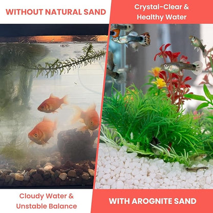 PetzLifeworld Aquarium Aragonite White Sand | Natural pH-Buffering Substrate for Marine, Cichlid, Freshwater & Saltwater Aquariums