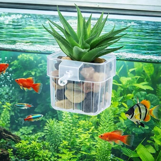 petzlifeworld 1 Pcs White Plastic Hanging (Screw Type) Water Plant Holder Pot for Aquarium Fish Tank, Aquaponic Plant Growing Landscape Plants Aquascape Decoration Water Plants by Petzlifeworld