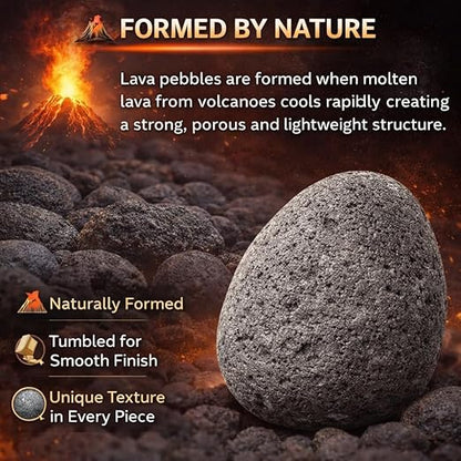 Petzlifeworld Black Lava Pebbles 10–15 cm | Natural Volcanic Stones for Aquarium, Garden, Plant Pots, Fire Pit & Home Décor | Large Decorative Lava Rocks for Landscaping & Aquascaping