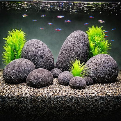 Petzlifeworld Black Lava Pebbles 10–15 cm | Natural Volcanic Stones for Aquarium, Garden, Plant Pots, Fire Pit & Home Décor | Large Decorative Lava Rocks for Landscaping & Aquascaping