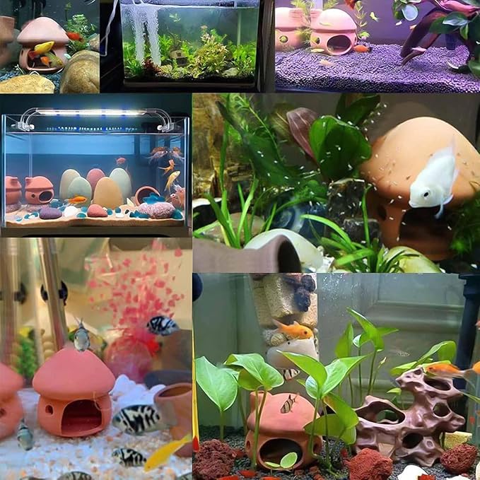 Petzlifeworld (Mushroom House Natural Clay Fish Tank Hideout | Aquarium Ornament Decoration for Small Fish & Shrimp | Terracotta Shelter for Resting, Hiding & Aquascaping