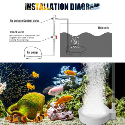 Petzlifeworld Aquarium 2 Inch (White) Disc Air Stone with 2m Tube – Fine Bubble Diffuser for Fish Tank (Pump Not Included)