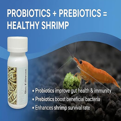 Petzlifeworld Wa Shrimp Sticks 15G Sinking Type Food Stick For Shrimps(Bio Filmea-Probiotic And Prebiotic Feed)