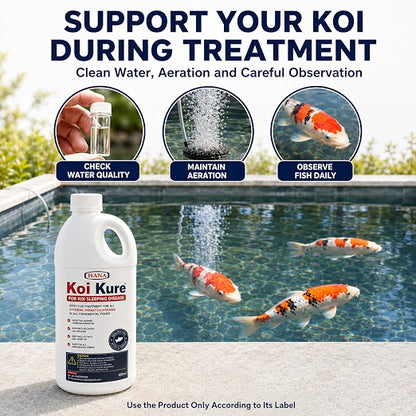 Petzlifeworld Koi Kure for Ornamental Koi Fish – 100ml & 500ml | Support for Koi Sleeping Disease | Helps Support Activity, Appetite & Recovery | Pond & Treatment Tank Use