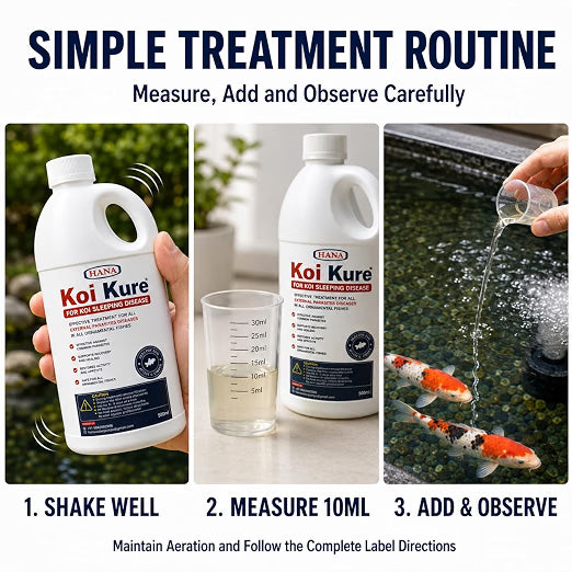 Petzlifeworld Koi Kure for Ornamental Koi Fish – 100ml & 500ml | Support for Koi Sleeping Disease | Helps Support Activity, Appetite & Recovery | Pond & Treatment Tank Use