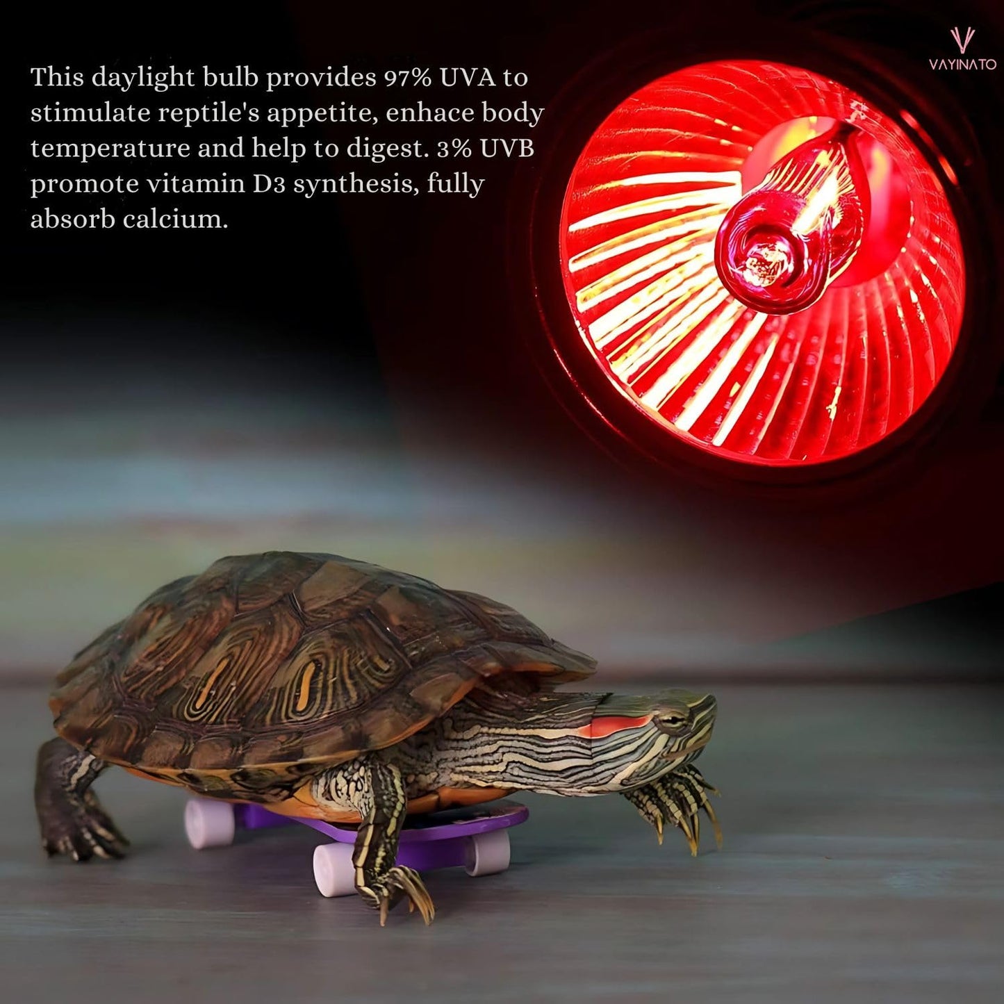 Petzlifeworld 50W Infrared UV Rays (Red) Reptile Turtle Heat Lamp Lights, Night Use UVA UVB Aquarium Bulbs