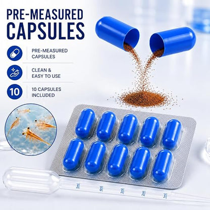 petzlifeworld 2-in-1 Peqon Artemia Cysts (1 Strip) 10 Capsules with 5ML Pipette Dropper | 90% Hatching Rate | Live Fish Food for Fry, Guppy, Betta, Angelfish, Discus, Tetras, Cichlids