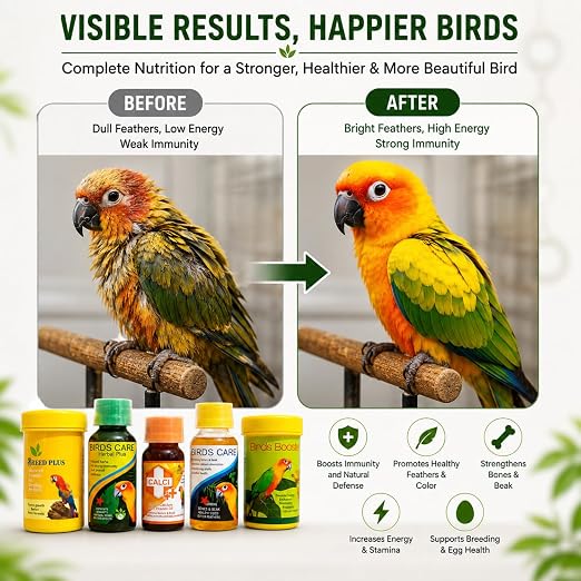 Petzlifeworld Bird Care 5 in 1 Combo for All Your Pet Birds (Birds Care, 60Ml + Birds Care Herbal Plus, 60Ml + Calci Plus, 30Ml + Bird Booster, 50G + Breed Plus, 50G)