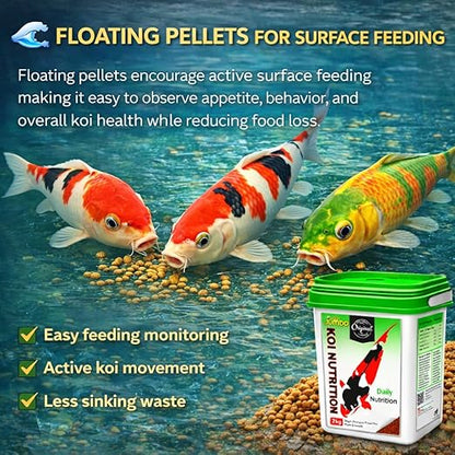 petzlifeworld Horizone Jumbo Koi Nutrition Food – 2 kg Jumbo High-Protein Floating Pellets with Spirulina & Astaxanthin | Color Enhancement & Clean Water Formula