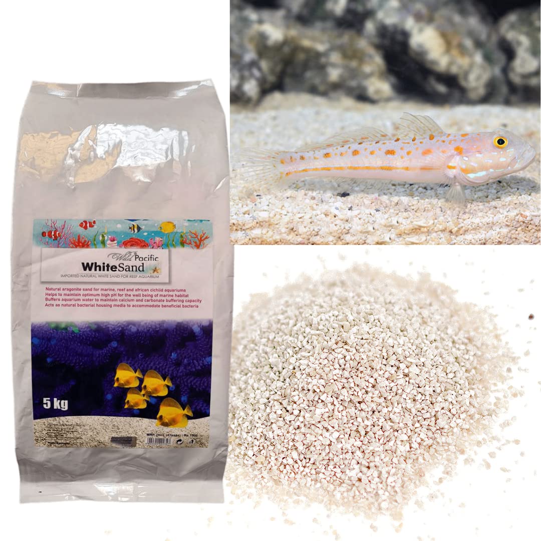 Aquatic Remedies Wild Pacific White Sand, 5 Kg | Imported Natural White Sand For Reef Aquarium