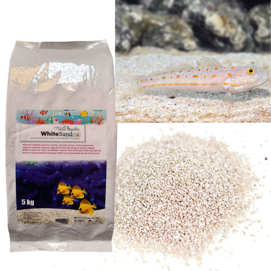 Aquatic Remedies Wild Pacific White Sand, 5 Kg | Imported Natural White Sand For Marine Aquarium