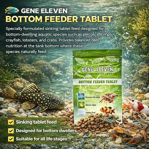 Aquatic Remedies 30G  Gene Eleven Bottom Feeder Tablet Fish Food | Sinking Tablet Feed for Plecos, Shrimps, Crayfish, Lobsters & Crabs | All Life Stages Aquarium Feed