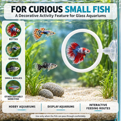 Petzlifeworld Aquarium Fish Training Ring 4cm Dia with Suction Cup | Interactive Swimming Hoop & Obstacle Course Toy for Betta, Guppy & Small Fish