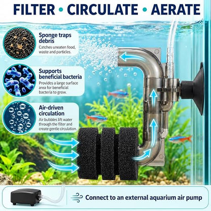 Petzlifeworld Mini C-Type Bio Sponge Filter for Nano Aquariums & Fish Bowls (9 × 7 × 4 cm) Suction Cup Mount | Biological Filtration & Aeration | 4 mm Air Hose Connection