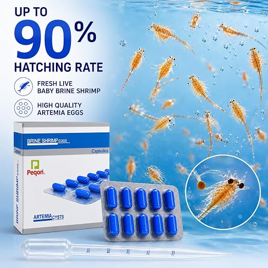 petzlifeworld 2-in-1 Peqon Artemia Cysts (1 Strip) 10 Capsules with 5ML Pipette Dropper | 90% Hatching Rate | Live Fish Food for Fry, Guppy, Betta, Angelfish, Discus, Tetras, Cichlids