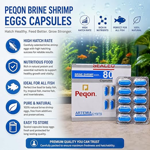 Peqon Artemia Cysts Brine Shrimp Eggs With 90% Hatching Rate For Baby Fish (1 Strip (10 Capsules)) By Petzlifeworld