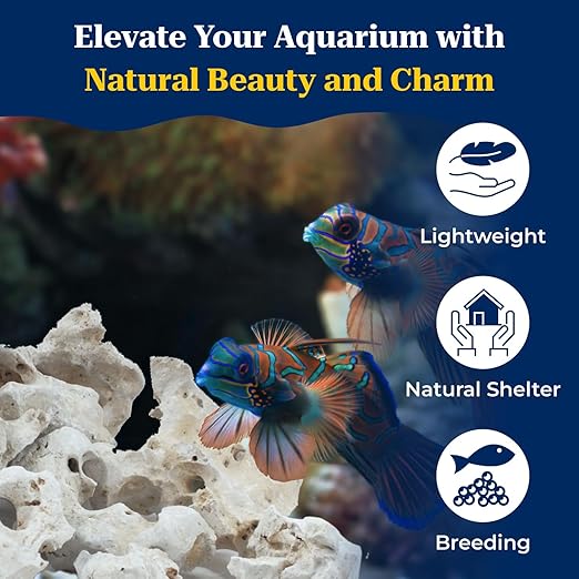 PetzLifeworld Natural White Sansibar Stone – Premium Aquarium Decoration for Marine & Cichlid Fish Tanks