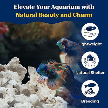PetzLifeworld Natural White Sansibar Stone – Premium Aquarium Decoration for Marine & Cichlid Fish Tanks