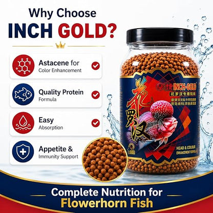 Petzlifeworld Inch Gold Flower Horn Fish Food for Head and Colour Enhancement (180 G)