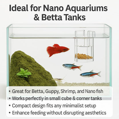 petzlifeworld Corner Acrylic Floating and Sinking Fish Food Feeder for Nano Aquariums | Ideal for Betta, Guppy, and Shrimp Tanks | Fits up to 6mm Glass