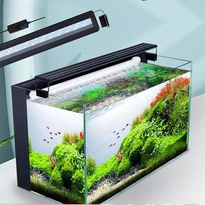 Petzlifeworld Aquarium LED Light (Blue+White), Single Color Mode LED Light Ultra Slim Black Light for Fresh & Salt Water Tank | Water Proof with Extendable Bracket