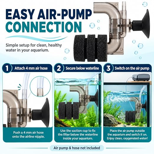Petzlifeworld Mini C-Type Bio Sponge Filter for Nano Aquariums & Fish Bowls (9 × 7 × 4 cm) Suction Cup Mount | Biological Filtration & Aeration | 4 mm Air Hose Connection